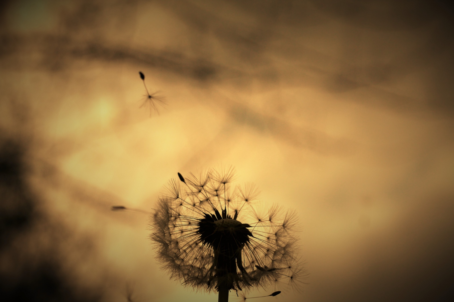 The Psychology of Letting Go: Why Endings Often Create New Beginnings